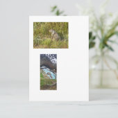 Bilder mit verknüpften Vorlagen (Stehend Vorderseite)