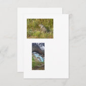 Bilder mit verknüpften Vorlagen (Vorne/Hinten)