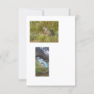 Bilder mit verknüpften Vorlagen