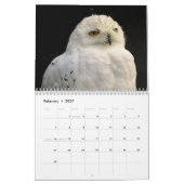 Bilder und Bilder 2025 Kalender (Feb 2027)