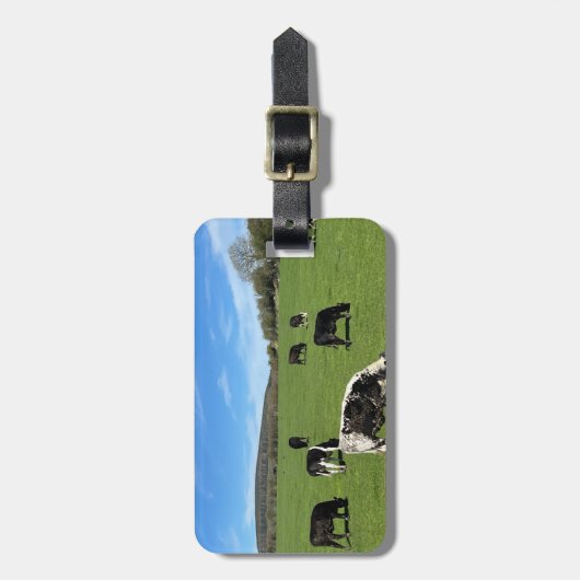 Bilder vom irischen Gepäcktag Gepäckanhänger (Vorderseite vertikal)