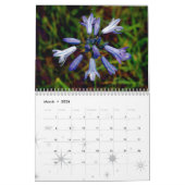 Bilder von Amerika Kalender (Mär 2026)