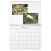 Bilder von Burt See Kalender (Mär 2027)