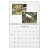Bilder von Burt See Kalender (Mär 2026)