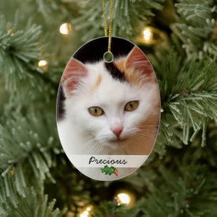 Bilder von Haustieren, zweiseitig dekoriert Keramikornament