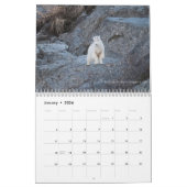 Bilder von Laveda 2024-2025 Kalender (Jan 2026)