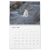 Bilder von Laveda 2024-2025 Kalender (Jan 2027)