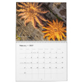 Bilder von Laveda 2024-2025 Kalender (Feb 2027)