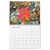 Bilder von Maine-Portfolio Kalender (Jan 2027)