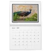 Bilder von Portugal Kalender (Mär 2027)