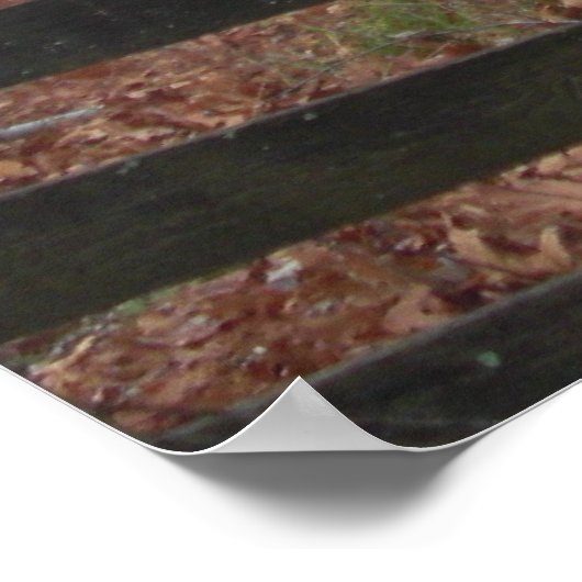 Bilder von Scheunen Poster (Ecke)