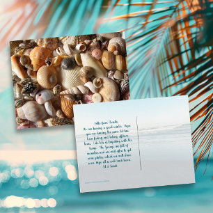 Bilder von Seashells Fotografie Postkarte