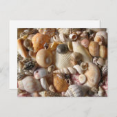 Bilder von Seashells Fotografie Postkarte (Vorne/Hinten)