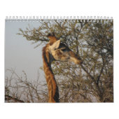 Bilder von Südafrika Kalender (Titelbild)
