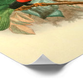 Bilder von Vogelgeschenkplakaten Poster (Ecke)