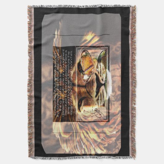 Bilderfassung 01 decke (Vorderseite Vertikal)