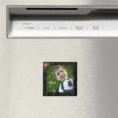 Bilderrahmen Magnet (In Situ (Geschirrspüler))
