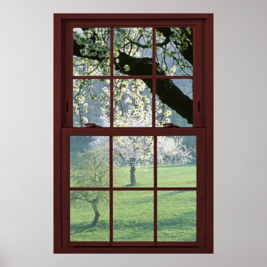 Bildfenster Landschaft - Kirschblüten. Poster (Vorne)