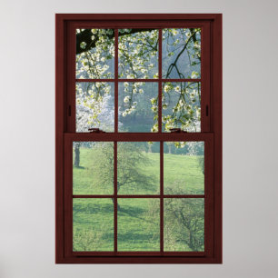 Bildfenster Landschaft - Kirschblüten. Poster