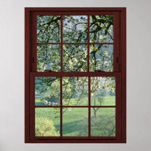 Bildfenster Landschaft - Kirschblüten Poster