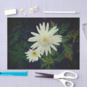 BILDSCHIRM UND DESIGN SEIDENPAPIER (Handwerk)