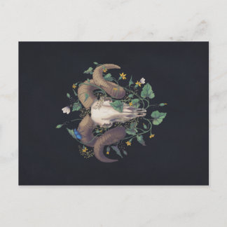 Bildserie Leben und Tod: Schafschädel Postkarte