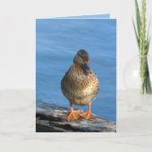 Bildtag Karte (Vorderseite)