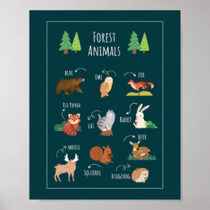 Bildung der Waldtierschule Poster