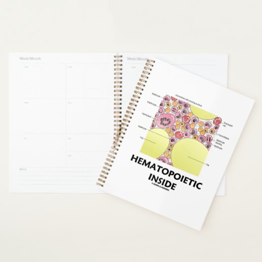 Bildung hämatopoetischer Inside Planer (Anzeige)