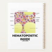 Bildung hämatopoetischer Inside Planer (Rückseite)