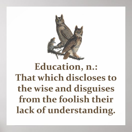 Bildung Noun - Bildung Zitat Poster (Vorne)