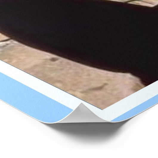 Bildung, Weltreligionen, Faktendatei für das Juden Poster (Ecke)