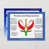 Bildung, Wissenschaft, Blume und Reproduktion Postkarte (Vorne/Hinten)