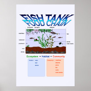 Bildung, Wissenschaft, Fischfangkette Poster