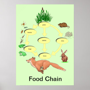 Bildung, Wissenschaft, ländliche Lebensmittelkette Poster