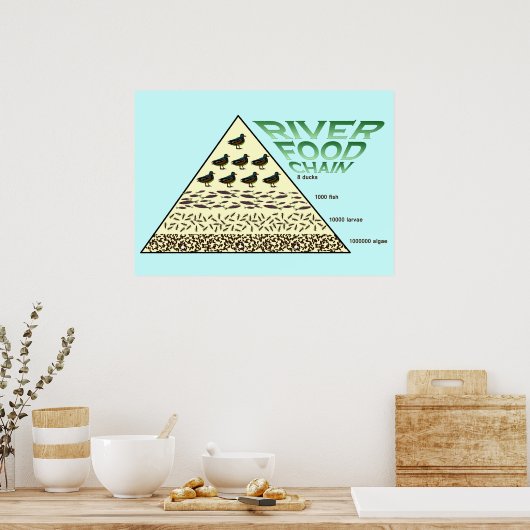 Bildung, Wissenschaft, Lebensmittelkette Poster (Küche)