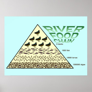 Bildung, Wissenschaft, Lebensmittelkette Poster