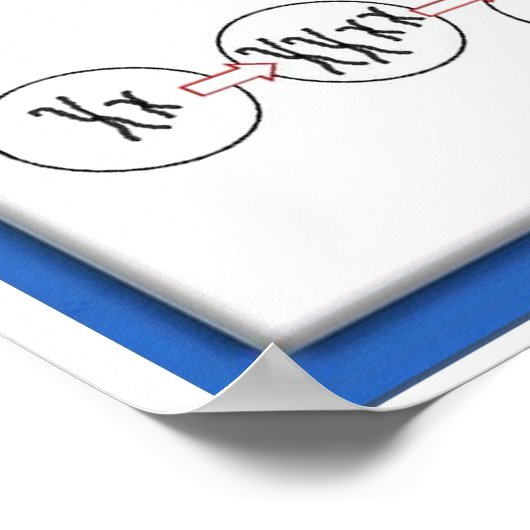 Bildung, Wissenschaft, Meiose Poster (Ecke)