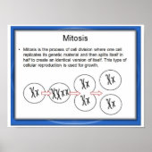 Bildung, Wissenschaft, Mitose Poster (Vorne)