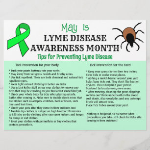 Bildung zur Prävention der Lyme-Borreliose Flyer