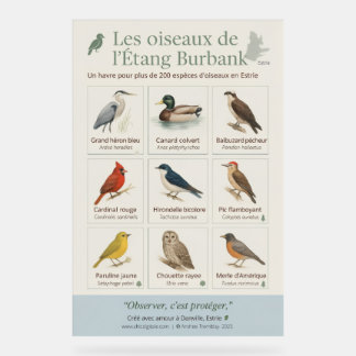 Bildungsplakat – Die Vögel des Burbank-Teichs ( Acrylschild