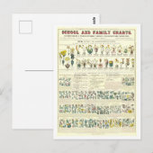 Bildungsplan für die Klassifizierung von Pflanze Postkarte (Vorne/Hinten)