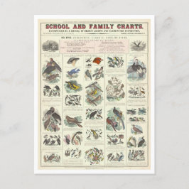 Bildungstabelle für Vogelarten Postkarte