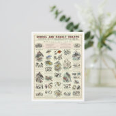 Bildungstabelle für Vogelarten Postkarte (Stehend Vorderseite)