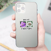 Bildvorlage für die besten Freunde Aufkleber (Telefon)