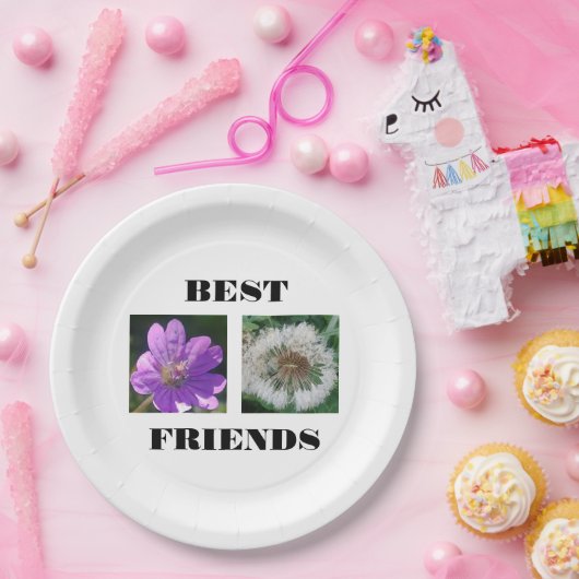 Bildvorlage für die besten Freunde Pappteller (Party)