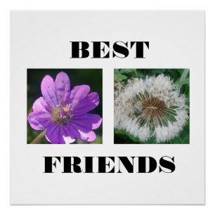 Bildvorlage für die besten Freunde Poster