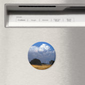 Bilgend Magnet (In Situ (Geschirrspüler))