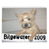 Bilgewater Kalender (Titelbild)