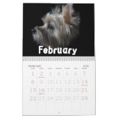 Bilgewater Kalender (Feb 2026)